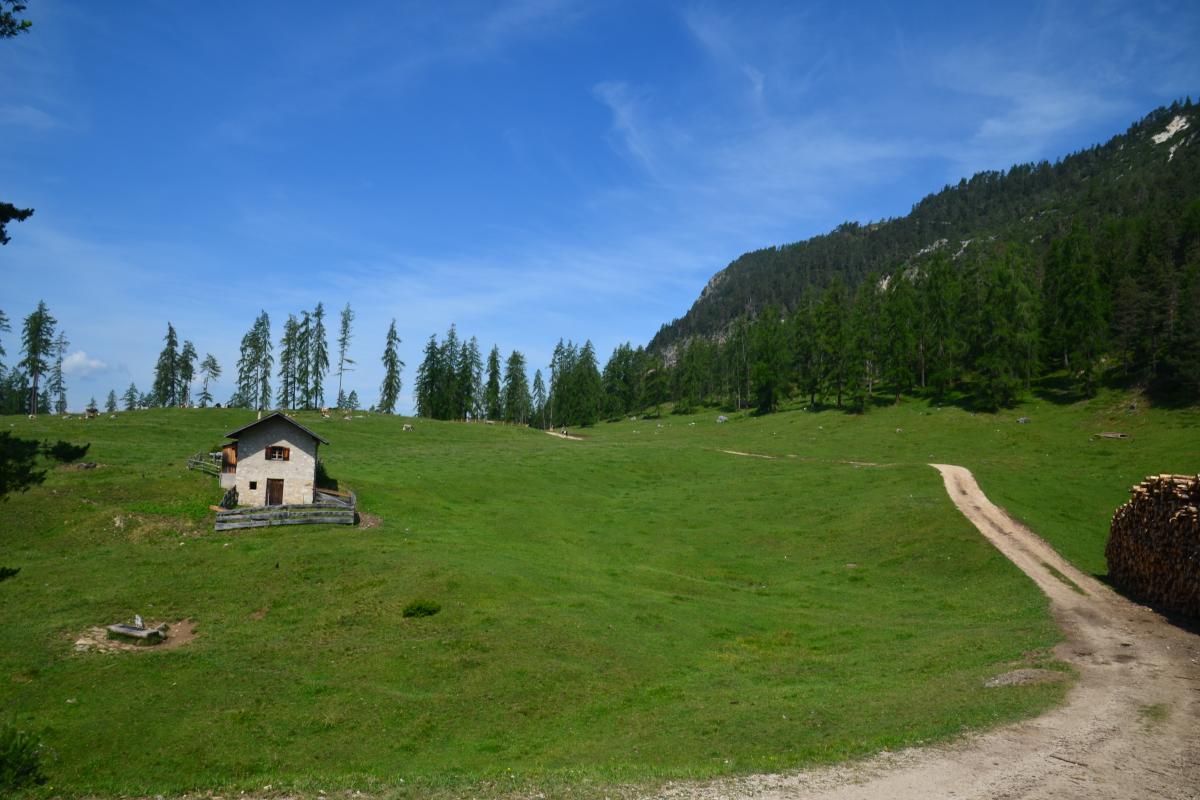 Tschafon - Voelseggspitze 28.06.2021